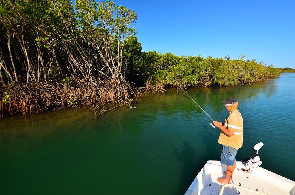 This shot shows the base of the bank on the day Sam and I were at the creek.  Note the beautiful structure sitting at the base of the bank in about one metre before it drops off into deeper greeny-blue water. © Lee Brake